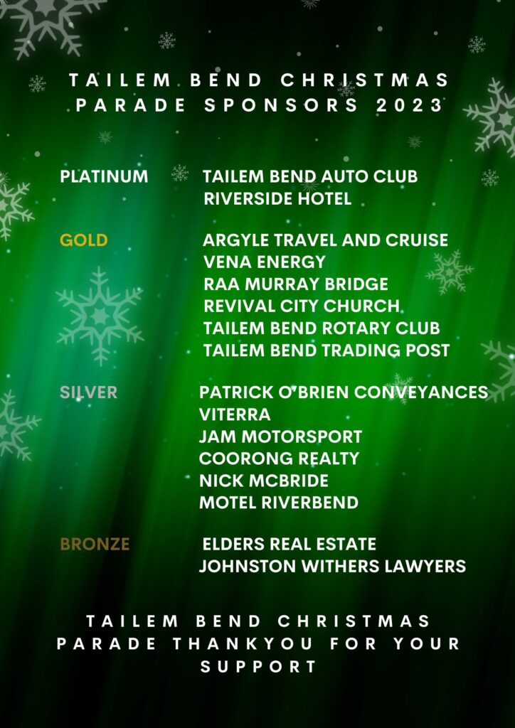 Green Christmas Party Flyer - 2