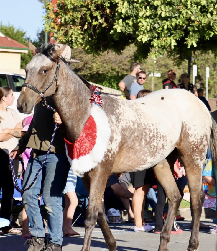 598640016_830565809604364_7755799143801944893_n